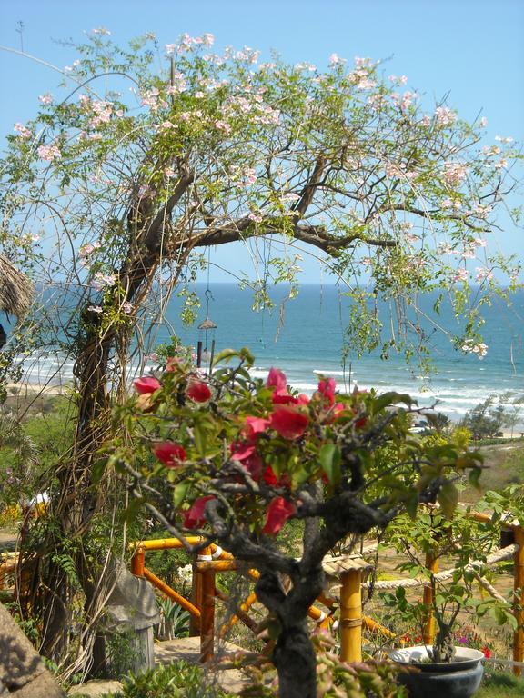Villa Curia Montañita エクステリア 写真