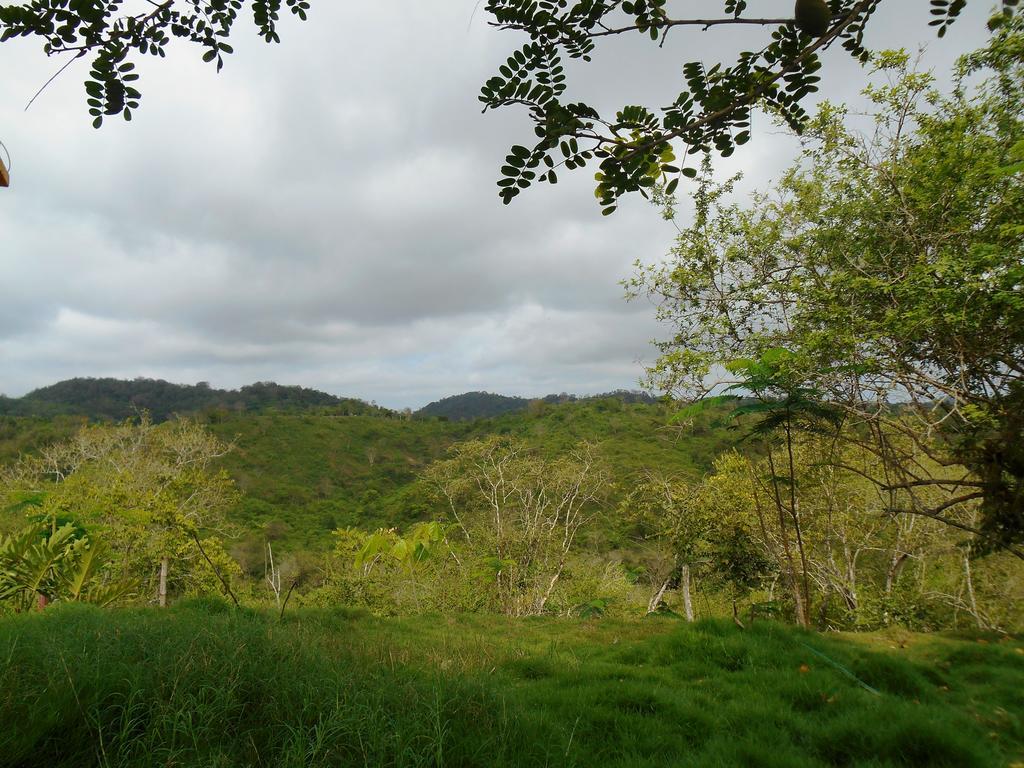 Villa Curia Montañita エクステリア 写真